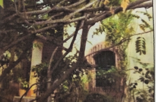 Imágen de la propiedad Calle coronel Francisco Cortés 1