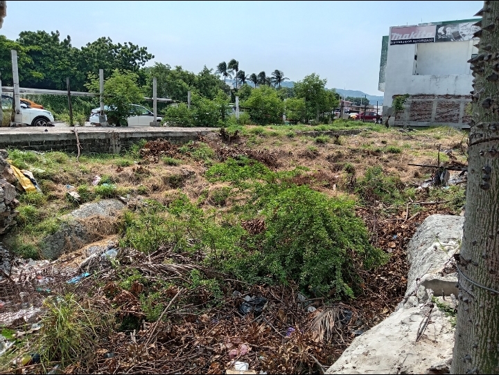 Imágen de la propiedad Terreno Av Tampico