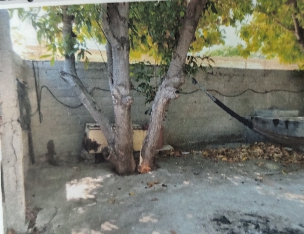 Imagen de casa Casa playa abierta 